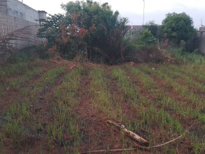 TERRAIN 1 LOT